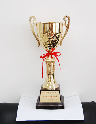 全國城鎮(zhèn)污水處理廠“十佳”運營單位